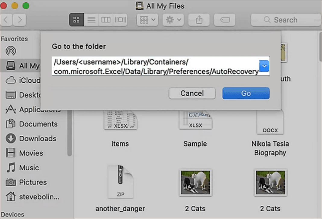 打開Excel的AutoRecovery文件夾