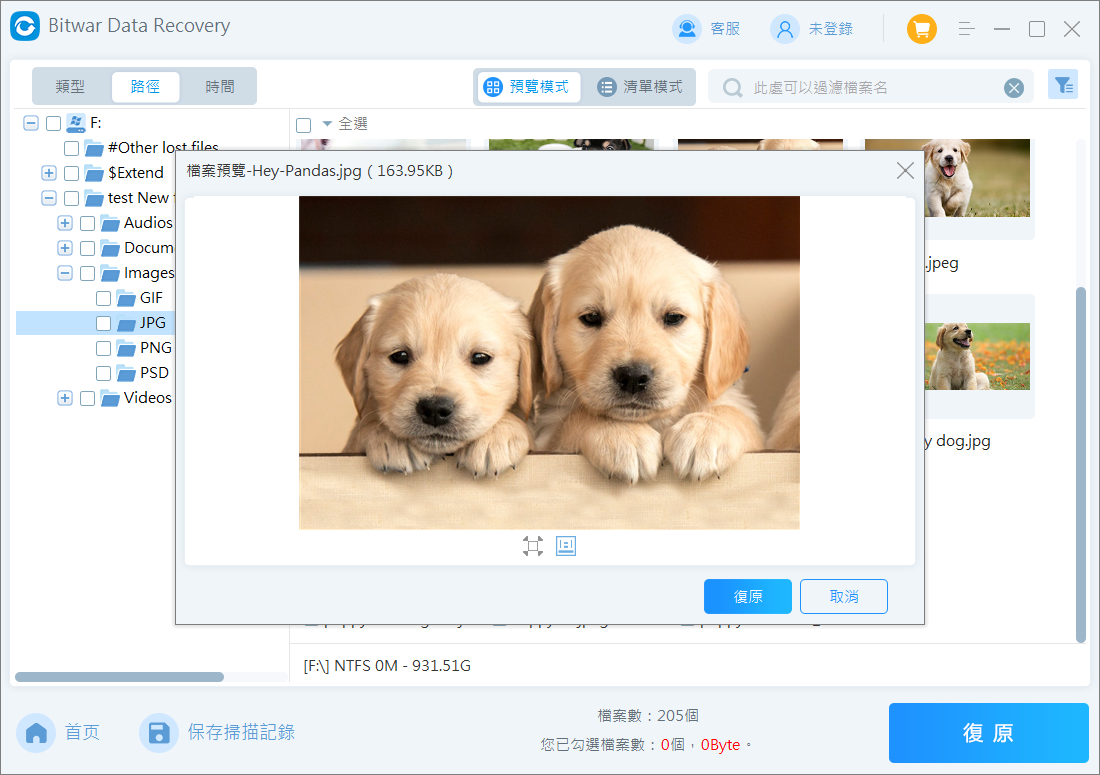 預覽並救援檔案
